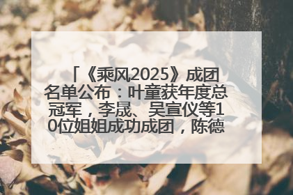 《乘风2025》成团名单公布：叶童获年度总冠军，李晟、吴宣仪等10位姐姐成功成团，陈德容获年度高光人物