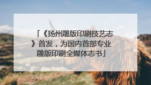 《扬州雕版印刷技艺志》首发，为国内首部专业雕版印刷全媒体志书