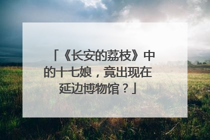 《长安的荔枝》中的十七娘，竟出现在延边博物馆？