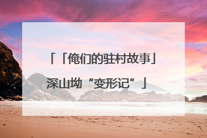 「俺们的驻村故事」深山坳“变形记”