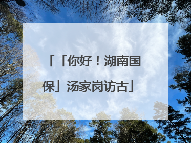 「你好！湖南国保」汤家岗访古