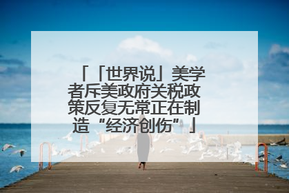 「世界说」美学者斥美政府关税政策反复无常正在制造“经济创伤”