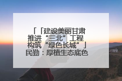 「建设美丽甘肃 推进“三北”工程 构筑“绿色长城”」民勤：厚植生态底色 筑牢绿色屏障