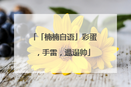 「楠楠自语」彩蛋，手雷，邋遢帅