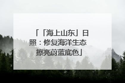 「海上山东」日照：修复海洋生态 擦亮蔚蓝底色