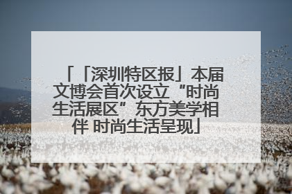 「深圳特区报」本届文博会首次设立“时尚生活展区”东方美学相伴 时尚生活呈现