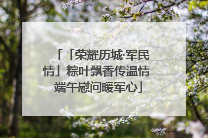 「荣耀历城·军民情」粽叶飘香传温情 端午慰问暖军心