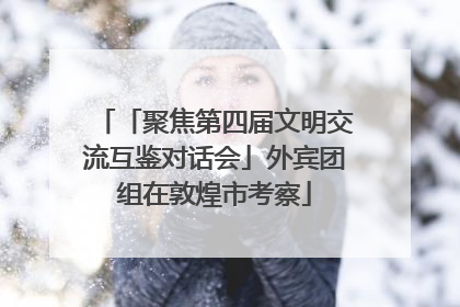 「聚焦第四届文明交流互鉴对话会」外宾团组在敦煌市考察