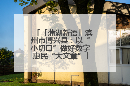 「蒲湖新语」滨州市博兴县：以“小切口”做好数字惠民“大文章”