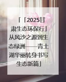 「2025甘肃生态环保行」从风沙之源到生态绿洲——青土湖华丽转身书写生态新篇
