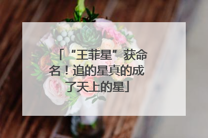 “王菲星”获命名！追的星真的成了天上的星