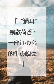 “猫耳”飘散荷香：一座江心岛的生态蜕变