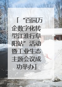 “百园万企数字化转型江淮行阜阳站”活动暨工业生态主题会议成功举办