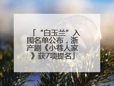 “白玉兰”入围名单公布，浙产剧《小巷人家》获7项提名