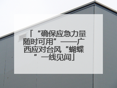 “确保应急力量随时可用”——广西应对台风“蝴蝶”一线见闻
