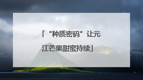 “种质密码”让元江芒果甜蜜持续