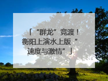 “群龙”竞渡！衡阳上演水上版“速度与激情”