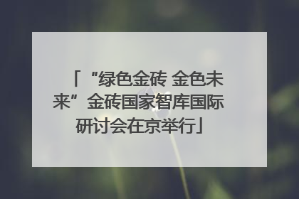 “绿色金砖 金色未来”金砖国家智库国际研讨会在京举行