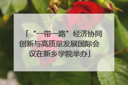 “一带一路”经济协同创新与高质量发展国际会议在新乡学院举办