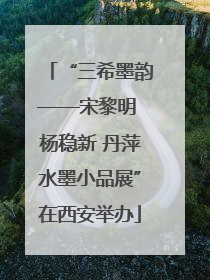 “三希墨韵——宋黎明 杨稳新 丹萍水墨小品展”在西安举办