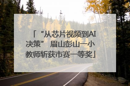 “从芯片视频到AI决策” 眉山彭山一小教师斩获市赛一等奖