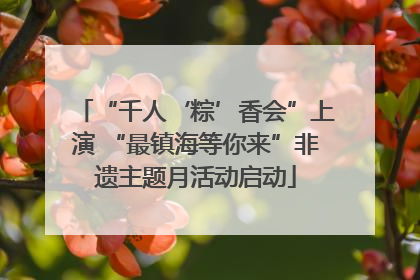 “千人‘粽’香会”上演 “最镇海等你来”非遗主题月活动启动
