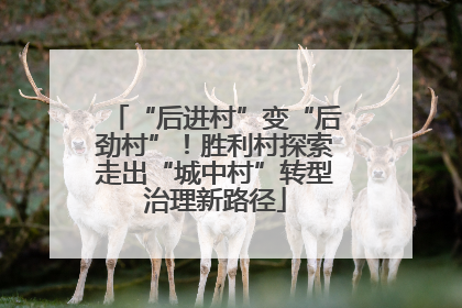 “后进村”变“后劲村”！胜利村探索走出“城中村”转型治理新路径