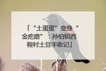 “土蛋蛋”变身“金疙瘩”：孙伯镇西程村土豆丰收记