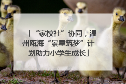 “家校社”协同，温州瓯海“景星筑梦”计划助力小学生成长
