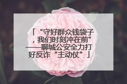 “守好群众钱袋子，我们时刻冲在前”——聊城公安全力打好反诈“主动仗”