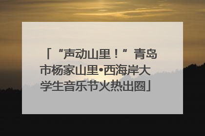 “声动山里！”青岛市杨家山里•西海岸大学生音乐节火热出圈