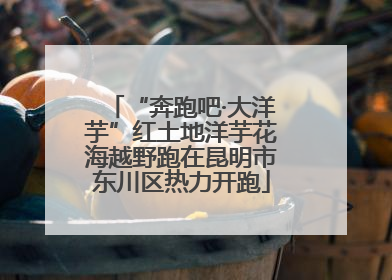 “奔跑吧·大洋芋”红土地洋芋花海越野跑在昆明市东川区热力开跑