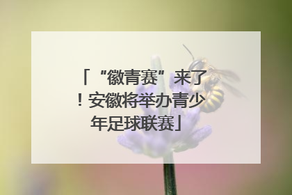 “徽青赛”来了！安徽将举办青少年足球联赛