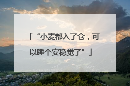 “小麦都入了仓，可以睡个安稳觉了”