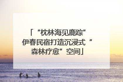 “枕林海见鹿踪” 伊春民宿打造沉浸式“森林疗愈”空间