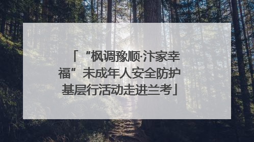 “枫调豫顺·汴家幸福”未成年人安全防护基层行活动走进兰考