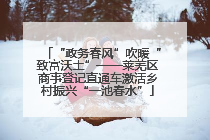 “政务春风”吹暖“致富沃土”——莱芜区商事登记直通车激活乡村振兴“一池春水”