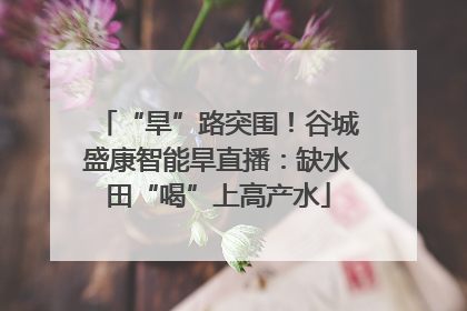 “旱”路突围！谷城盛康智能旱直播：缺水田“喝”上高产水