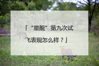 “星舰”第九次试飞表现怎么样？