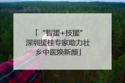“智援+技援” 深圳援桂专家助力壮乡中医焕新颜