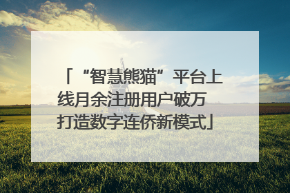 “智慧熊猫”平台上线月余注册用户破万 打造数字连侨新模式