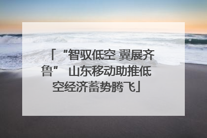 “智驭低空 翼展齐鲁” 山东移动助推低空经济蓄势腾飞
