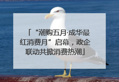 “潮购五月·成华最红消费月”启幕，政企联动共掀消费热潮