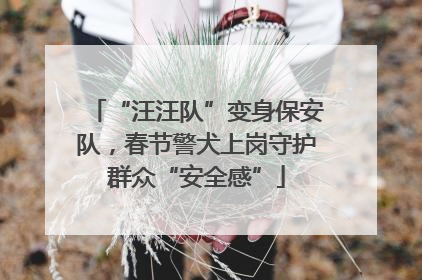 “汪汪队”变身保安队，春节警犬上岗守护群众“安全感”