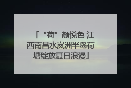 “荷”颜悦色 江西南昌水岚洲半岛荷塘绽放夏日浪漫