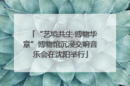 “艺境共生·博物华章”博物馆沉浸交响音乐会在沈阳举行