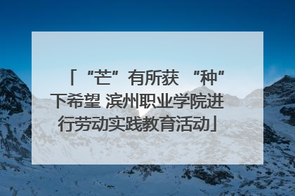 “芒”有所获 “种”下希望 滨州职业学院进行劳动实践教育活动