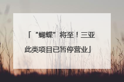 “蝴蝶”将至！三亚此类项目已暂停营业