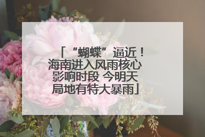 “蝴蝶”逼近！海南进入风雨核心影响时段 今明天局地有特大暴雨
