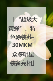 “超级大黄蜂”、特色涂装苏-30MKM 众多明星装备亮相
